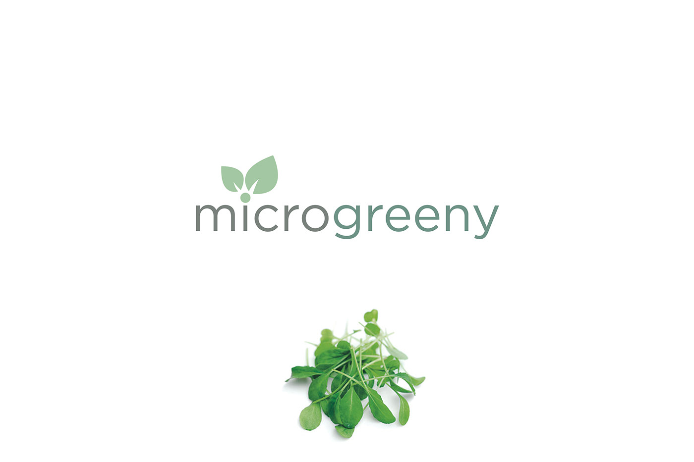 branding  Greens grow healthy micro natural Nature salads seeds sprouts