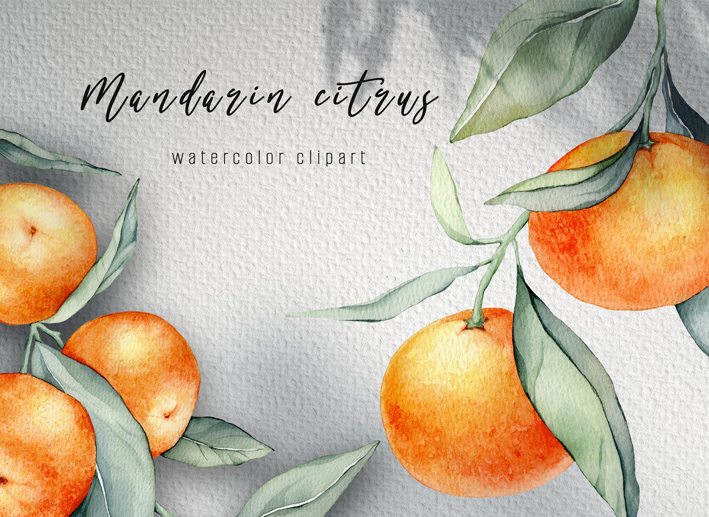 mandarin Tangarine orange watercolor citrus Fruit pattern artwork