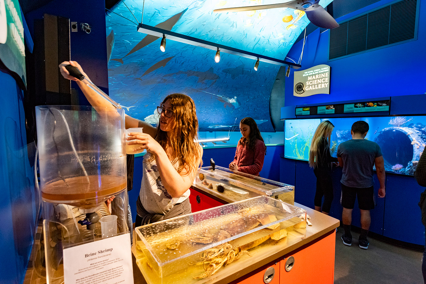 aquarium EXHIBIT DESIGN fish stretched fabric donor wall wayfinding pier roundhouse Terrazzo acrylic