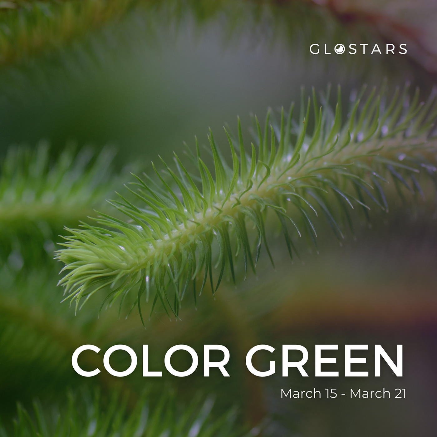 color community glostars green life Nature PhotoContest Photography  plants trees