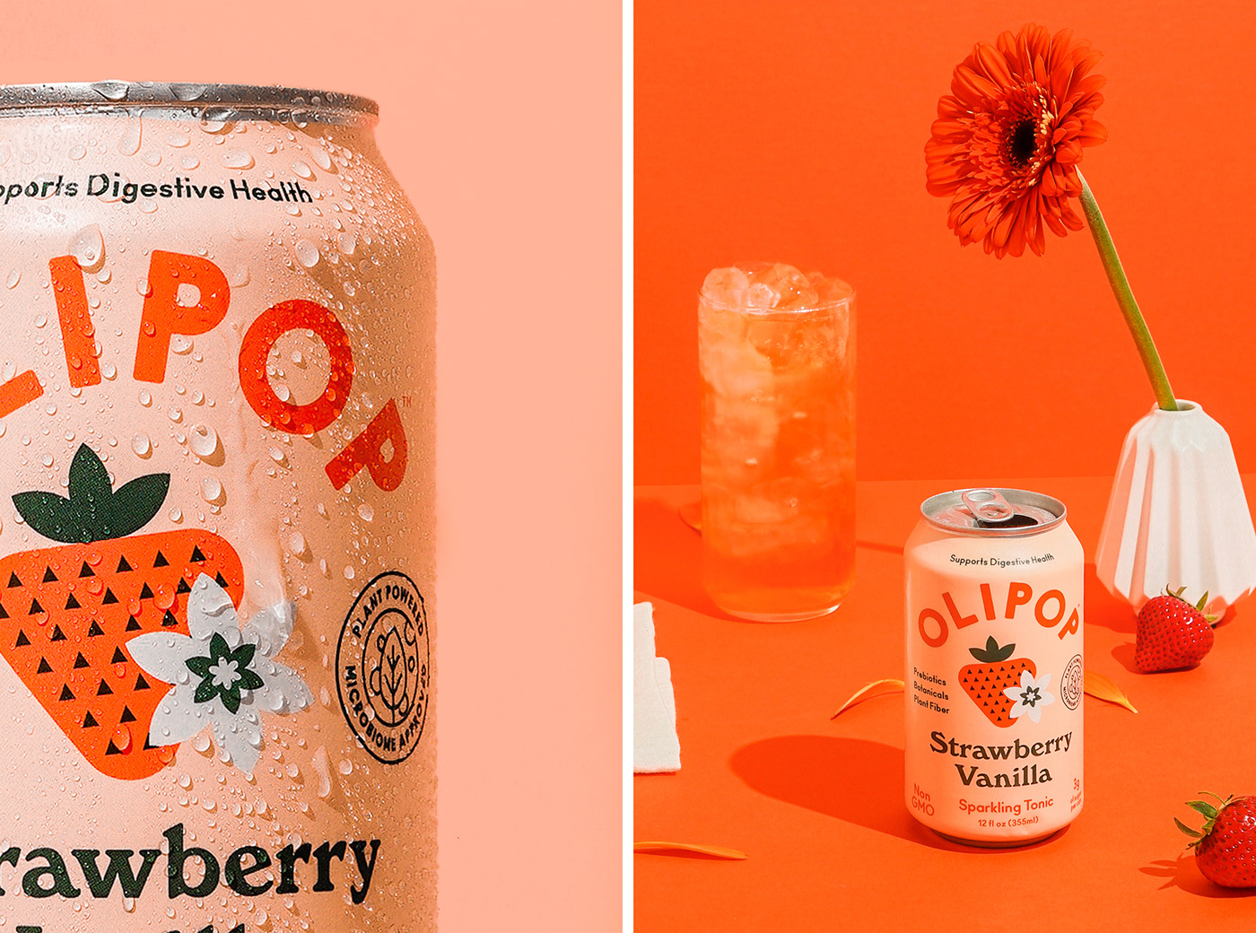 Packaging branding  Label can beverage drink Health soda vintage logo