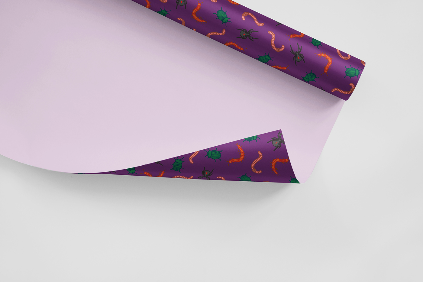 pattern Wrapping paper Packaging graphic design  Halloween bugs creepy Mockup