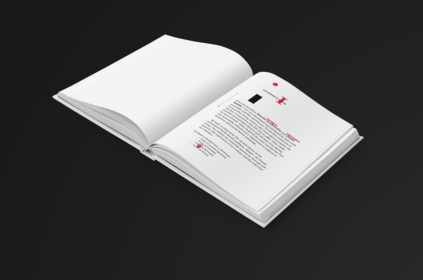 typography   Annie Leibovitz Patti Smith editorial design book design