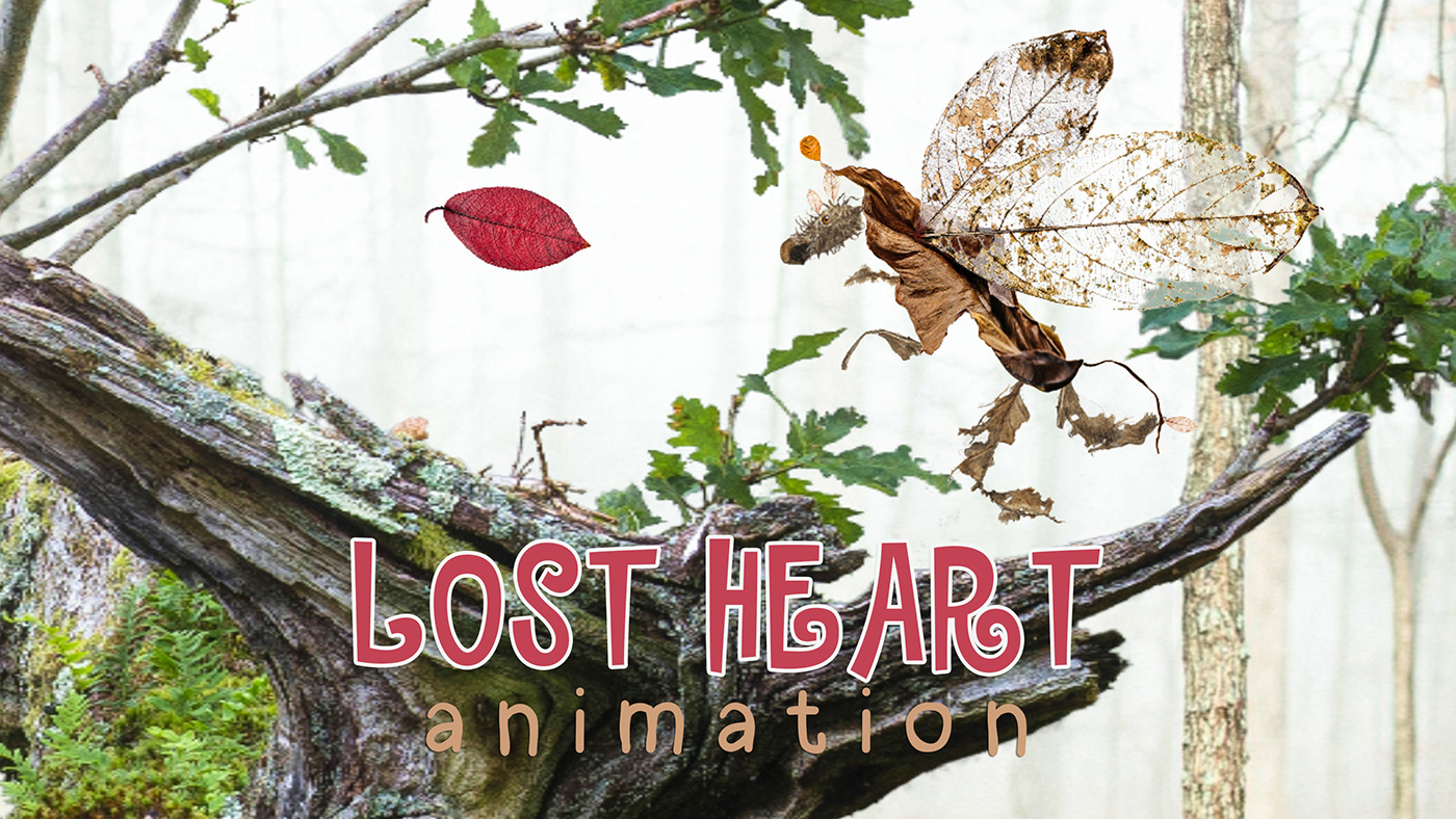 animation  video 2D Animation cartoon fantasyart heart forest leaf Character design  animated cartoon