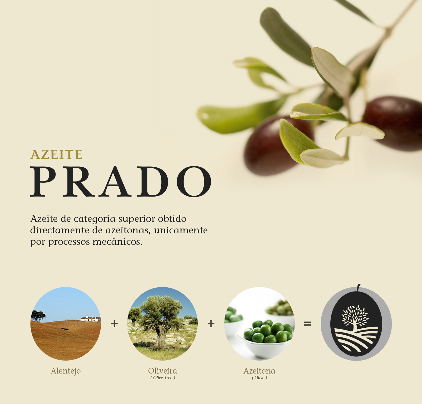 AZEITE Prado olive olive tree Olive Oil Label Portugal oliveira