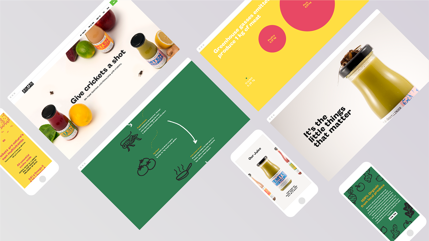 visual identity branding  insect juice Sustainable ILLUSTRATION  UI/UX infographics Packaging typography  