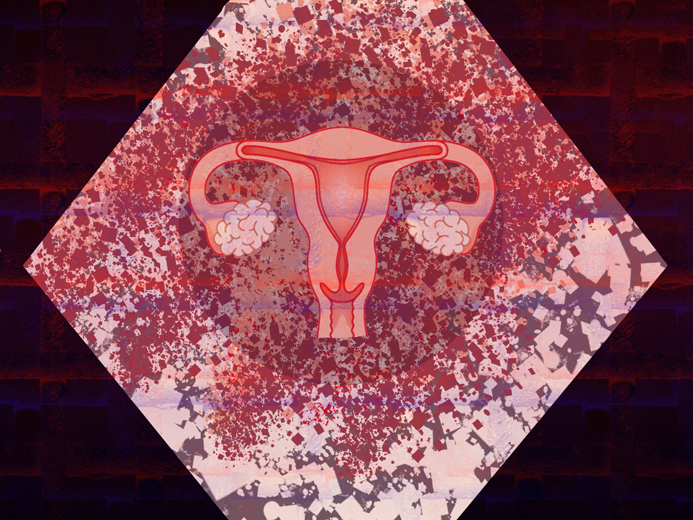 graphic design  uterus women
