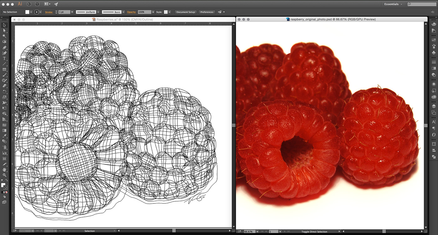 Adobe Portfolio mesh tool vector Fruit photorealism