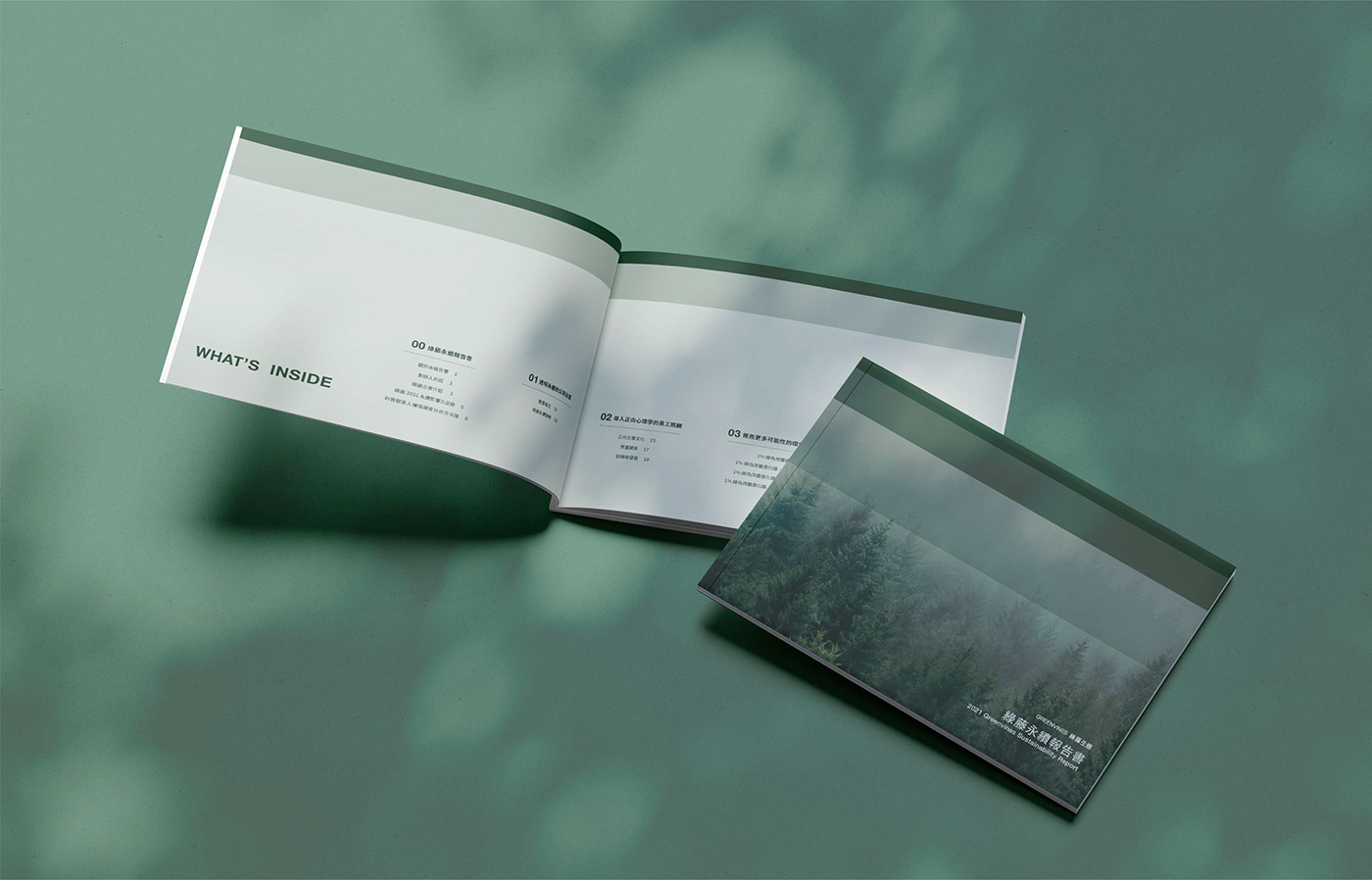 Layout Design InDesign annual report brochure design Annual Report Design Layout print book cover design