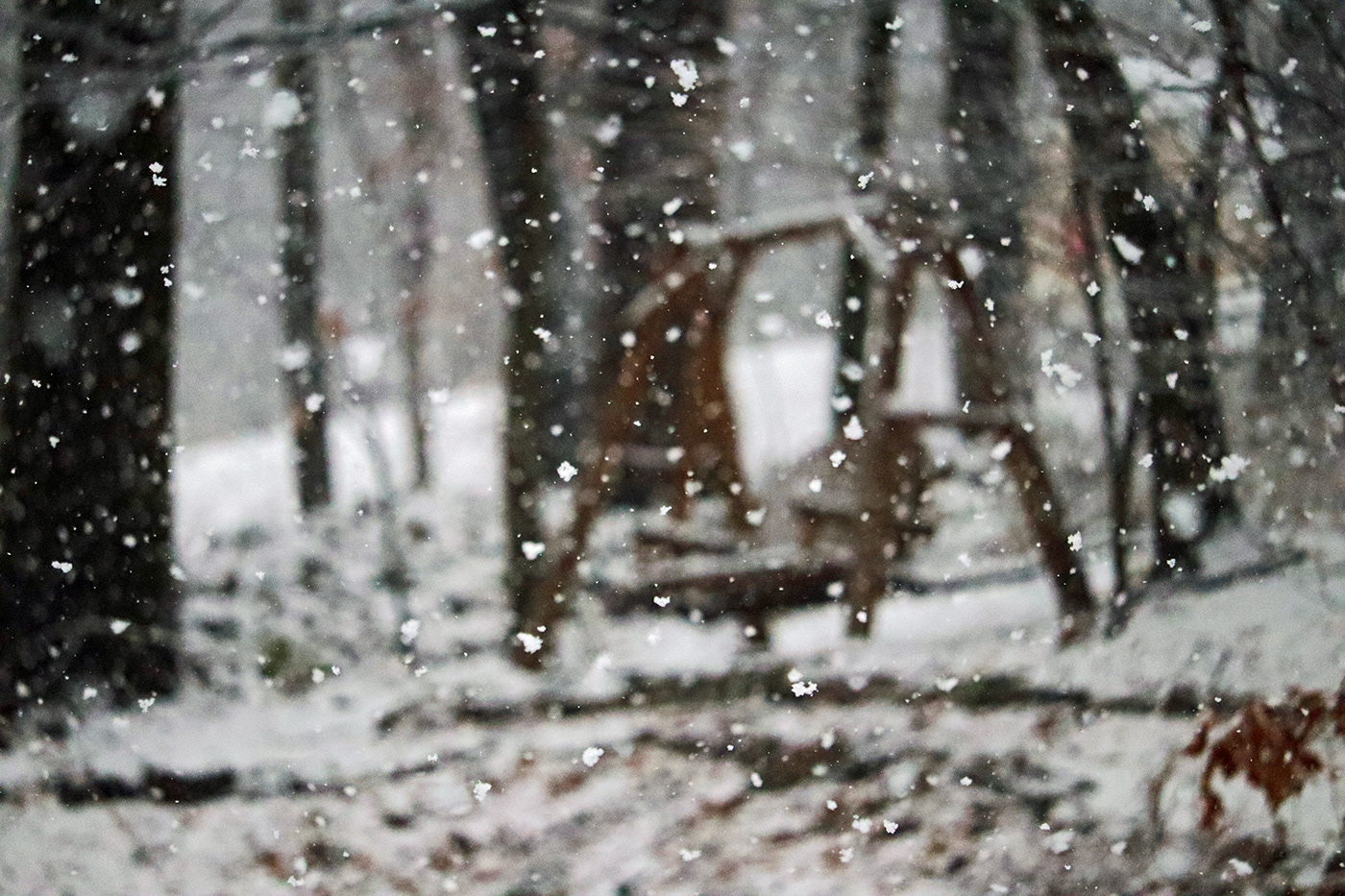 #cinematicsequence #photography #snow #Video   #winterphotography