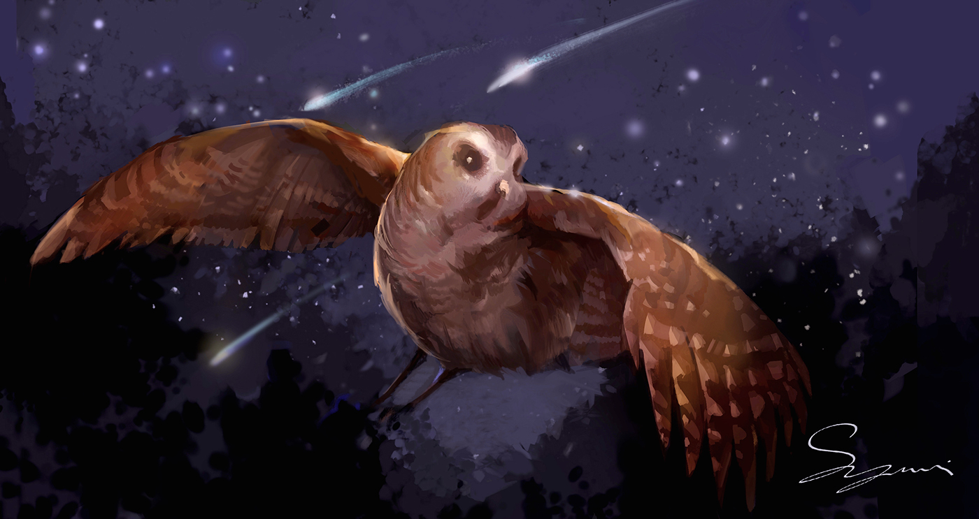 animal creature Nature caturelab risd study owl DigitalIllustration mastercpy jonfoster