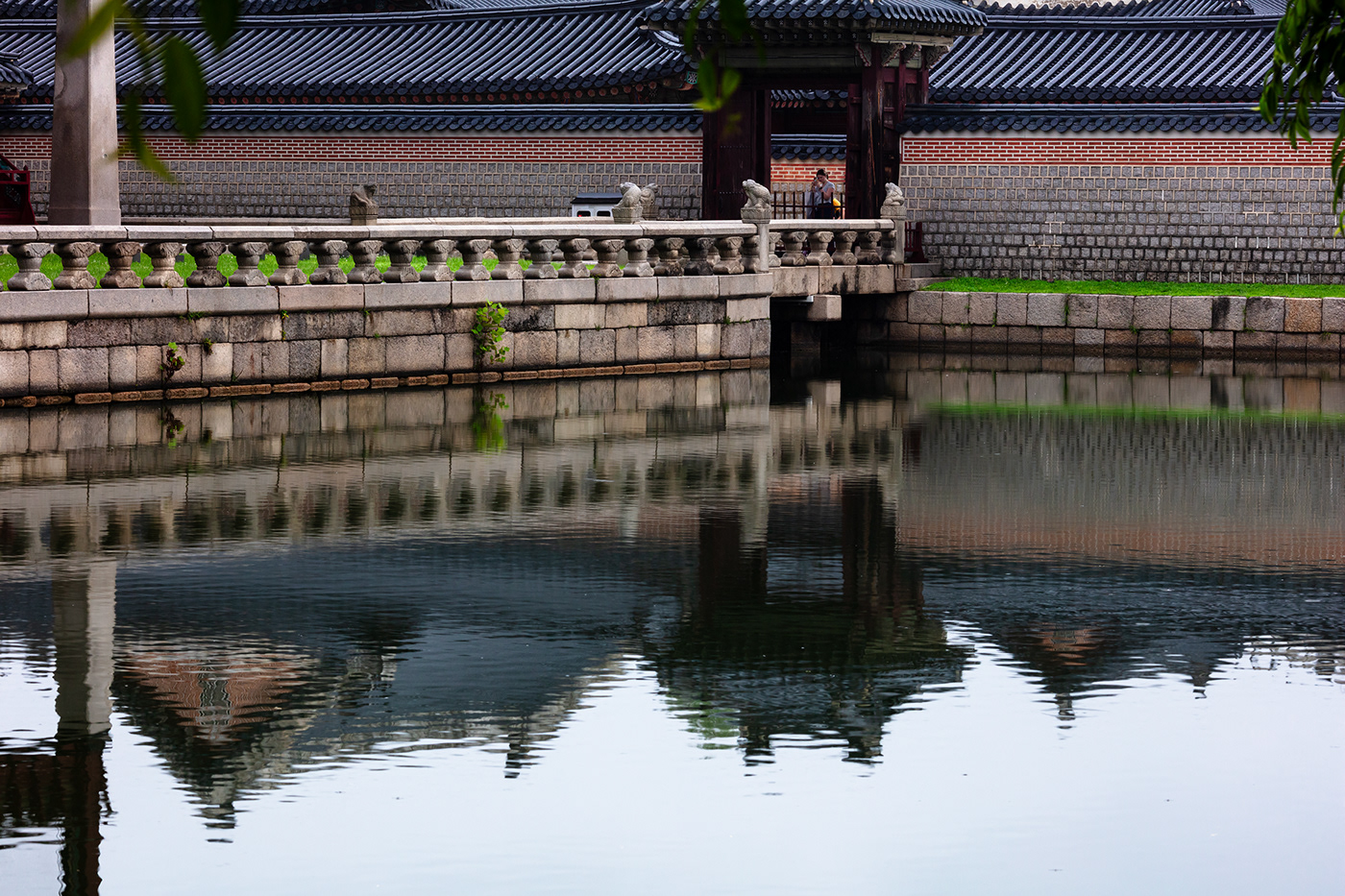 building architecture modern house lake reflections a lotus flower Republice of Korea Seoyl the royal palace