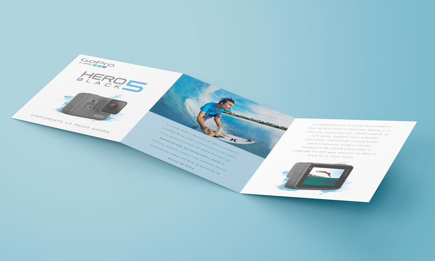 gopro Layout foldout poster Printing graphics best design theatre poster editorial diseño gráfico