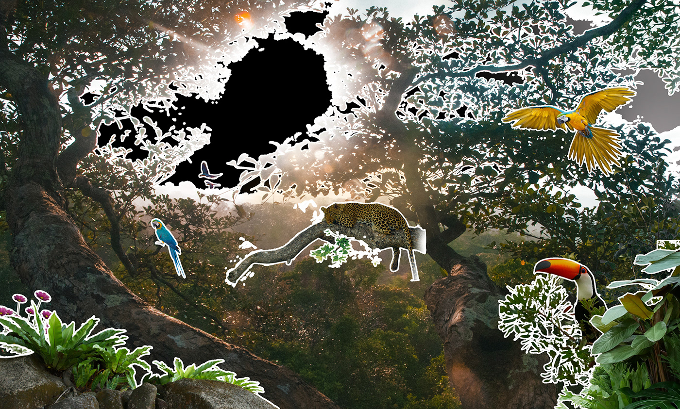 animais animals concept art digital Digital Art  environment forest Matte Painting Photo Manipulation  Tree 