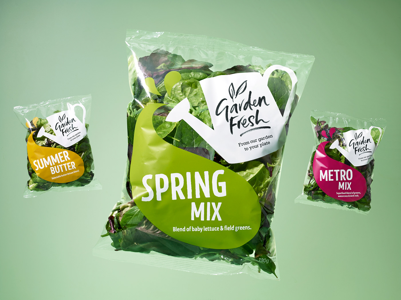 branding  design Food  Handlettering ILLUSTRATION  lettering Packaging Photography  typography   vegetables
