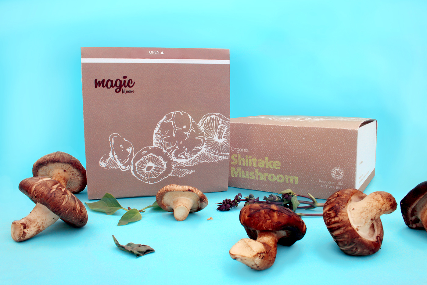 mushroom Sustainable eco-friendly Magic   bloom doodle recyclable paper design graphic Diecut