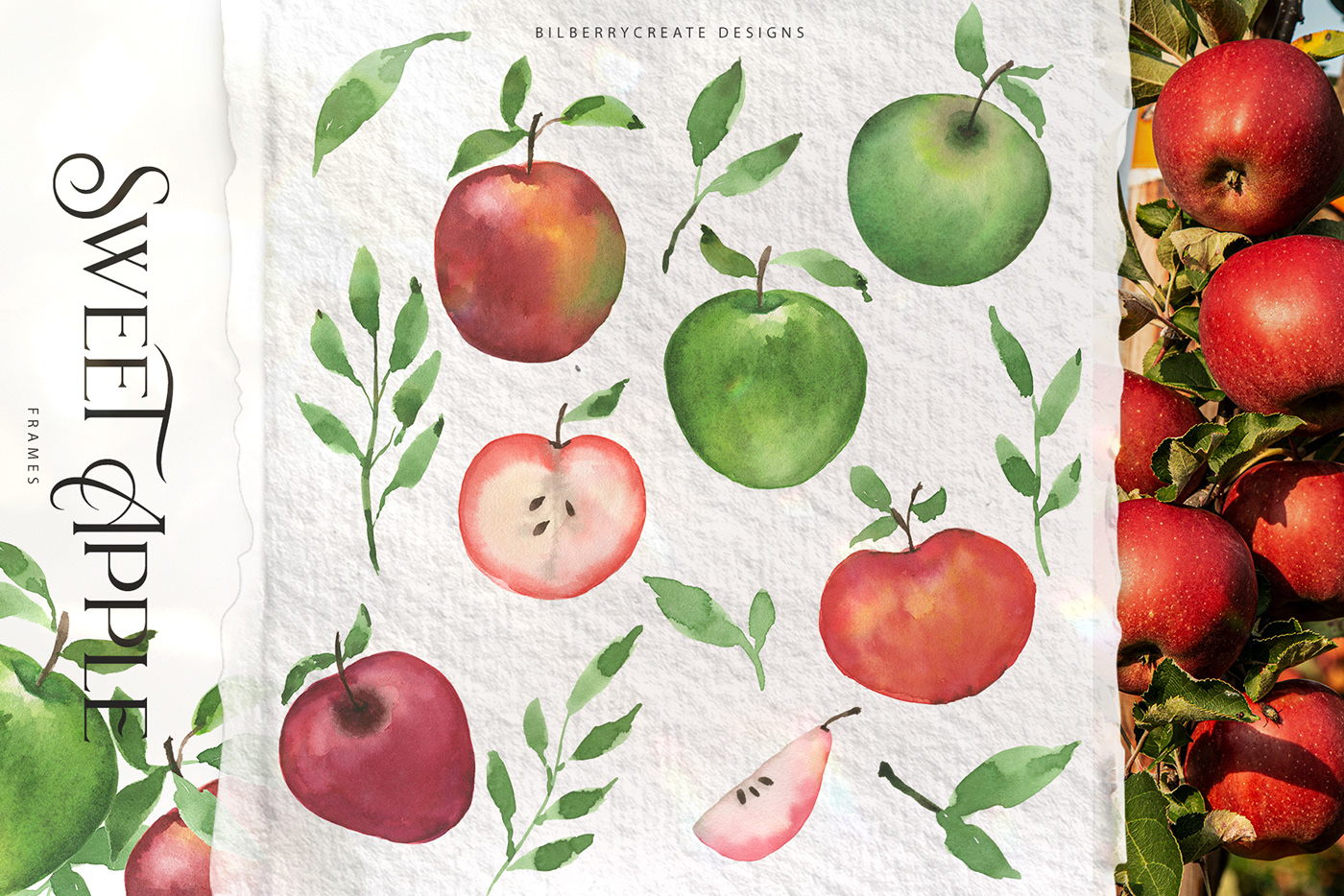 apple apple patterns Bouquets bouquets apple compositions green apple Red Apple seamless pattern Sweet apple watercolor apple