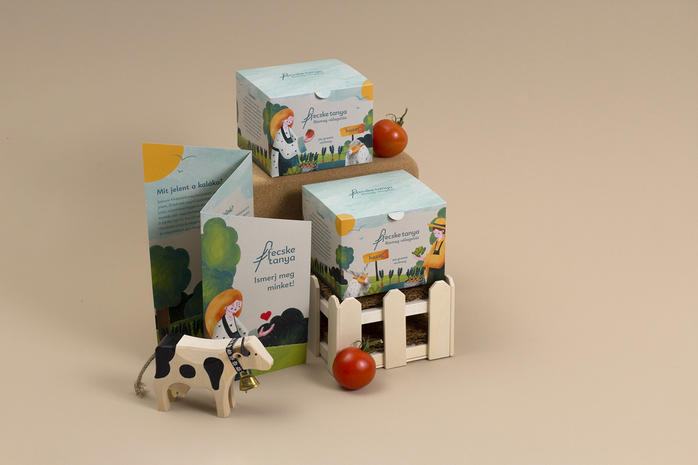 packaging design pakaging visual identity box design product packaging Mockup Brand Design brand identity