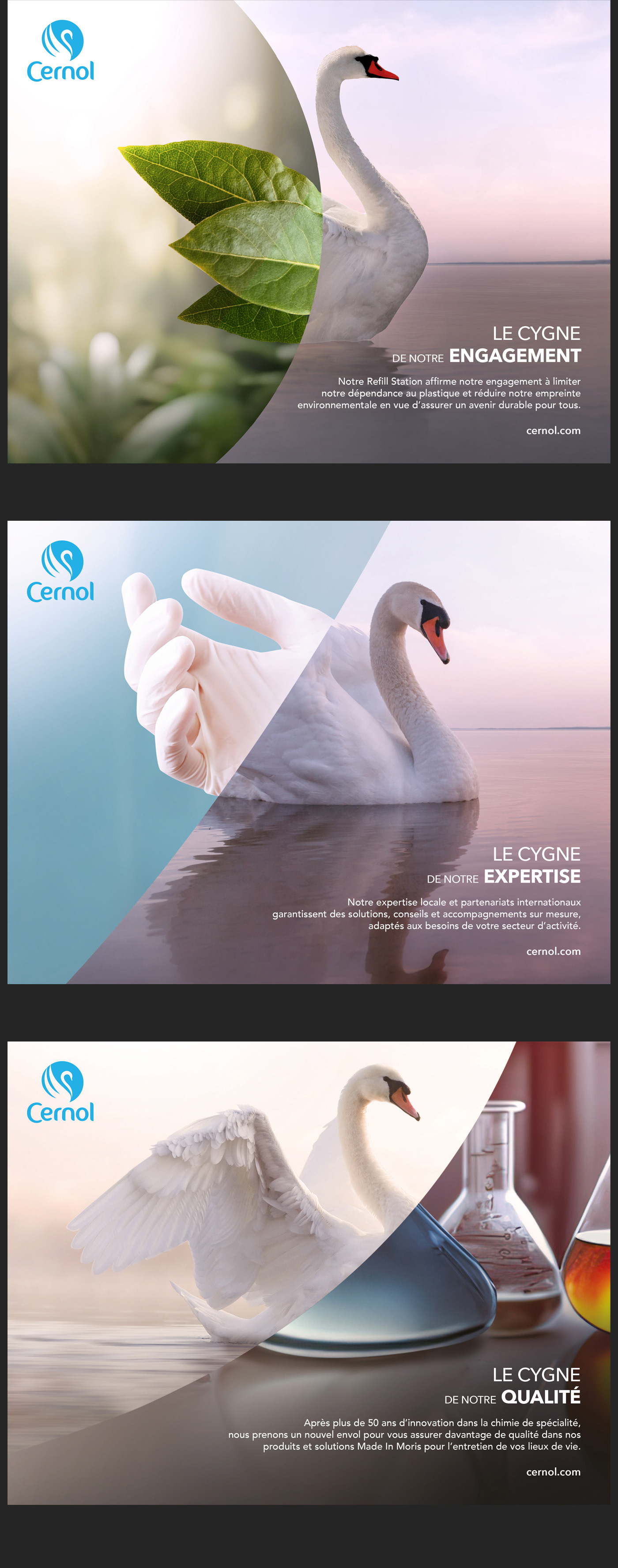 swan corporate advertising rebranding campaign Advertising  conceptual award winning corporate idea inspiration