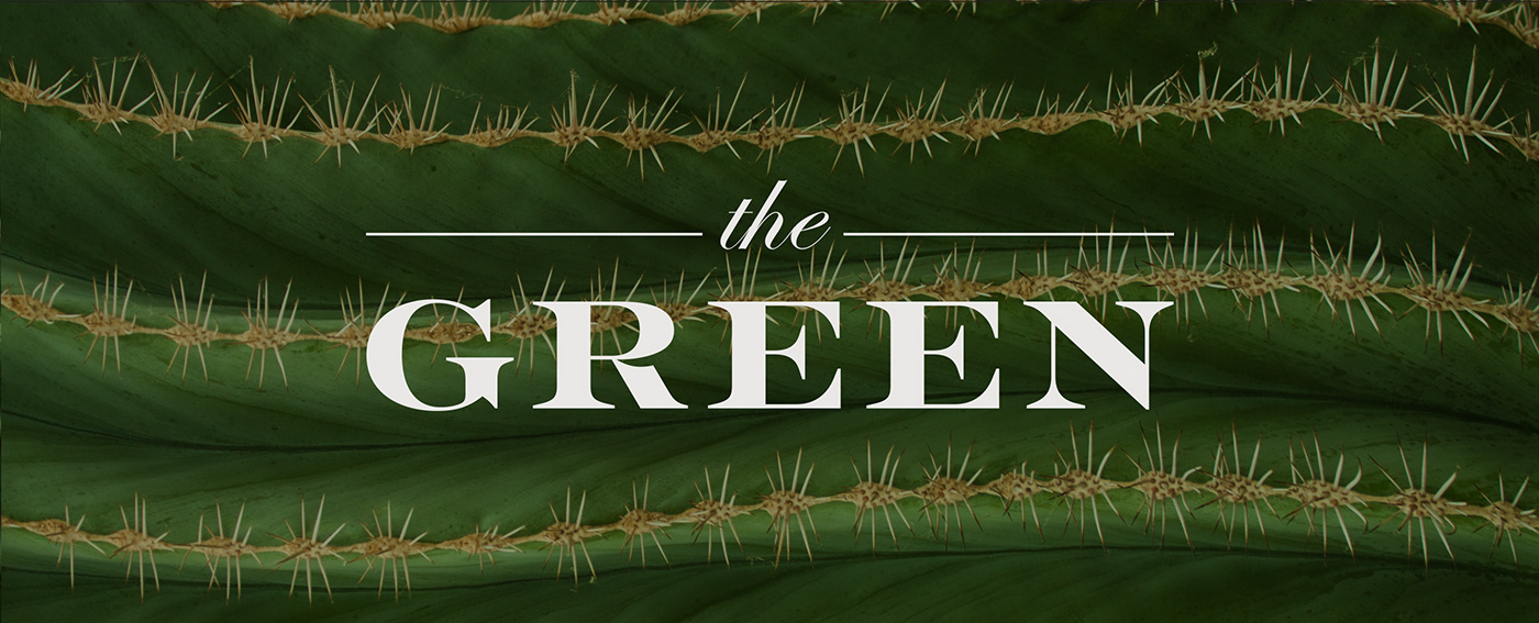 green eco friendly Logo Design brand identity visual identity Sustainable real estate egypt eco