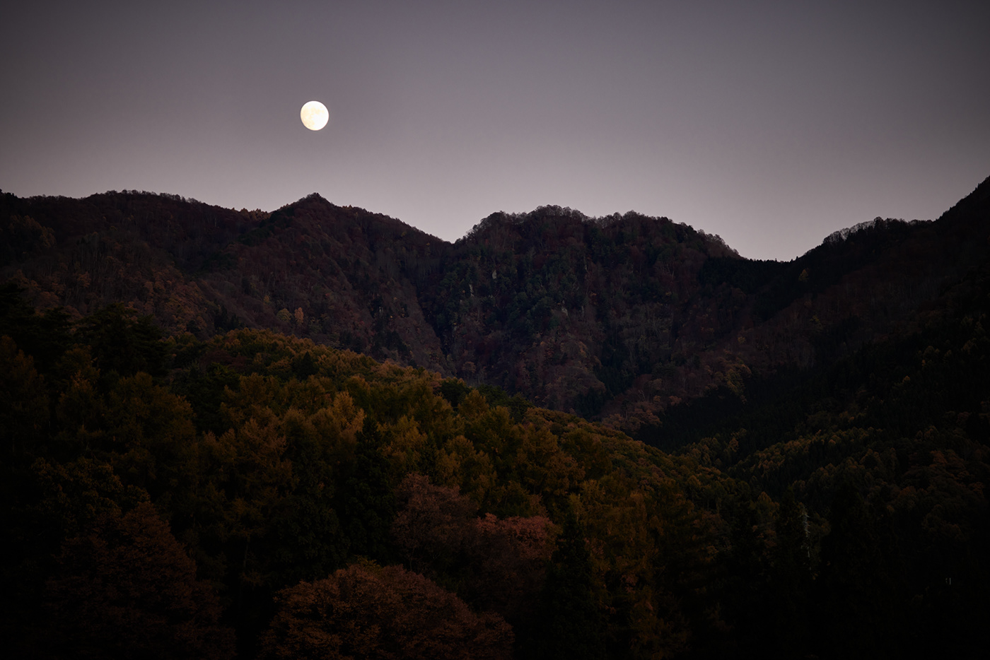 autumn Evening forest Landscape moon moonlight mountains Nature night Photography 