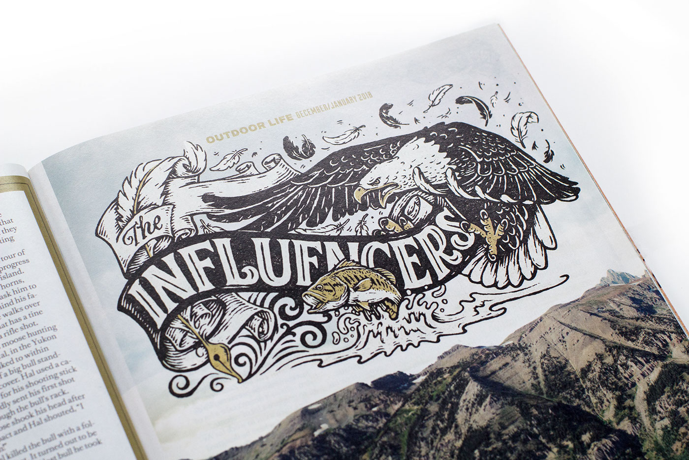 ILLUSTRATION  HAND LETTERING lettering eagle fish animals editorial