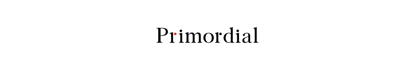 branding  Logo Design pets brand Primordial visual identity
