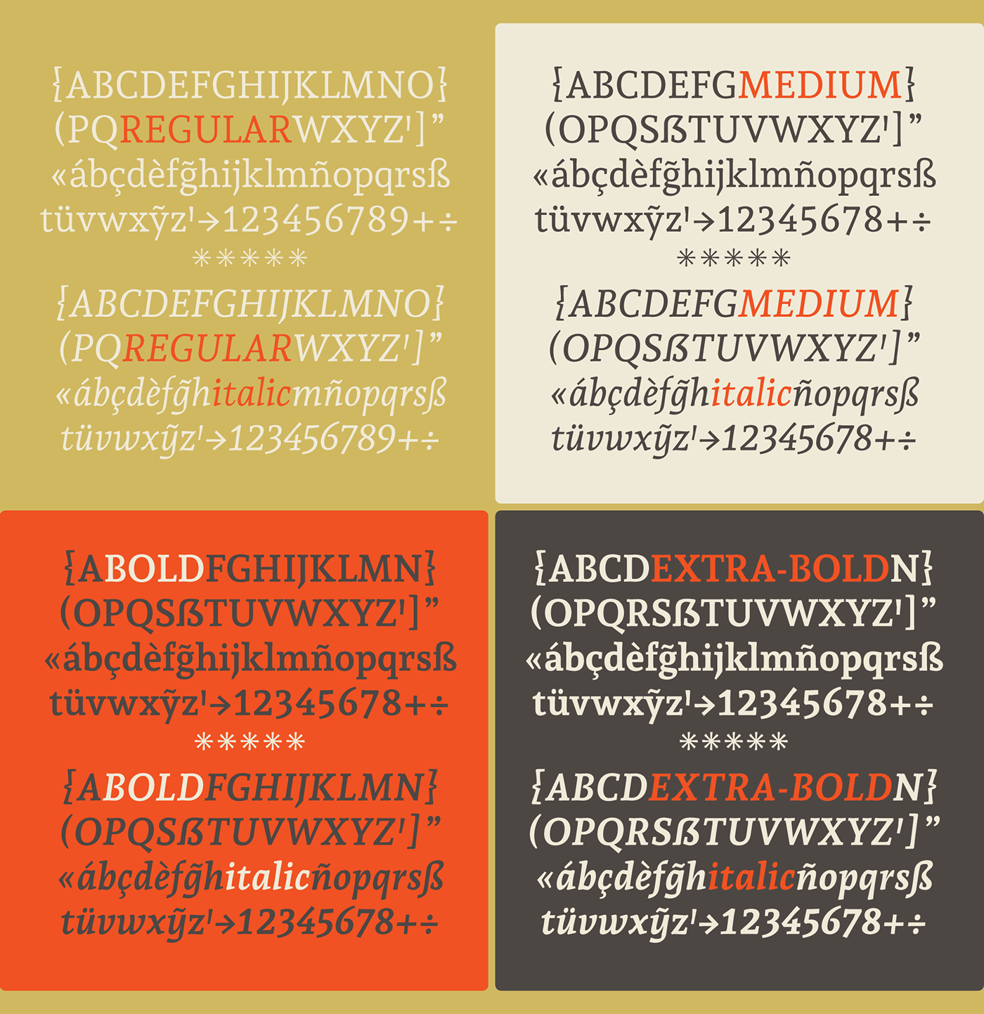 editorial design  schrifgestaltung schrift tipografia type typography  
