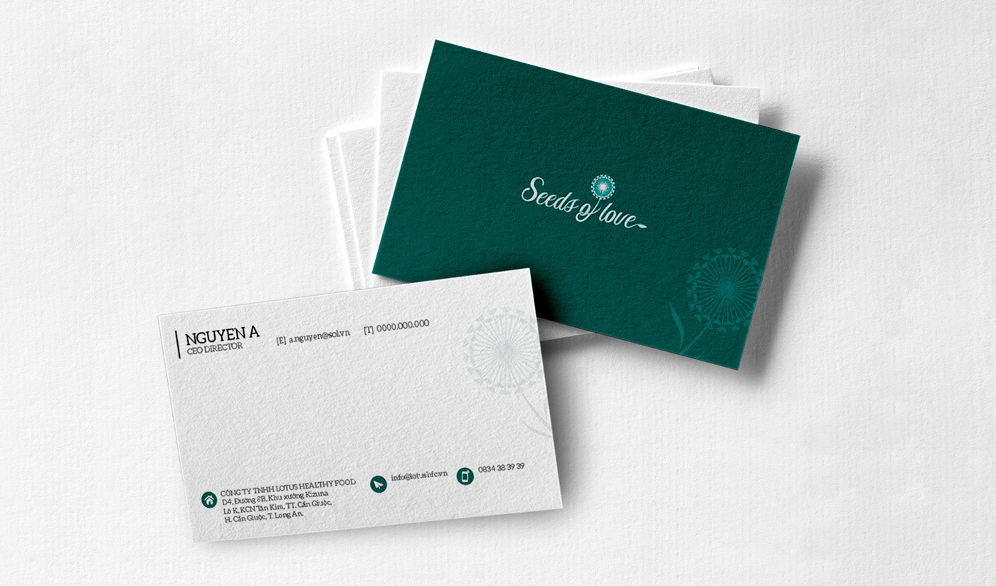 brand identity dandelion graphic design  Logo Design marketing   Photography 