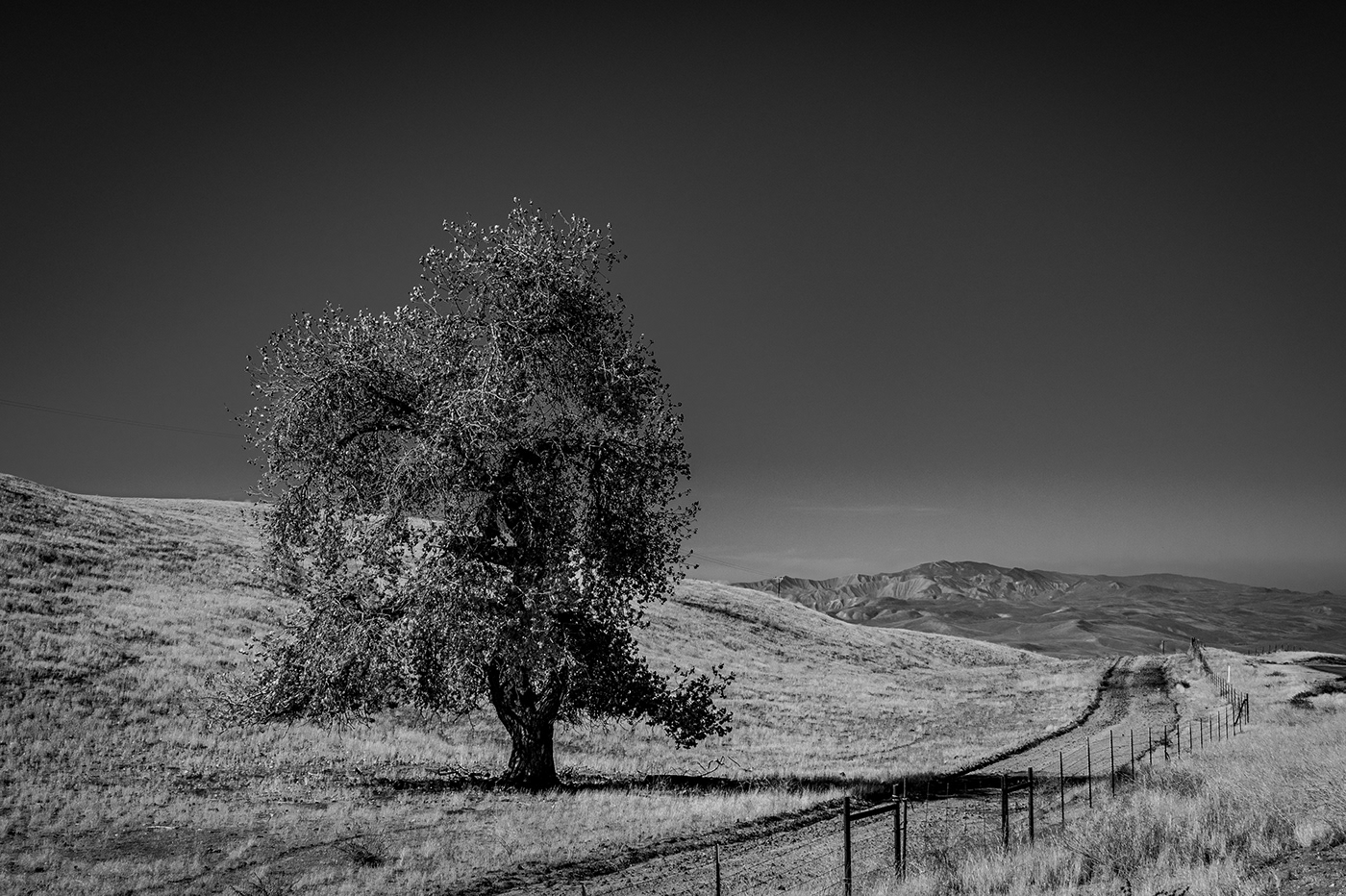 d850 learning Nikon Photography  black and white Landscape
