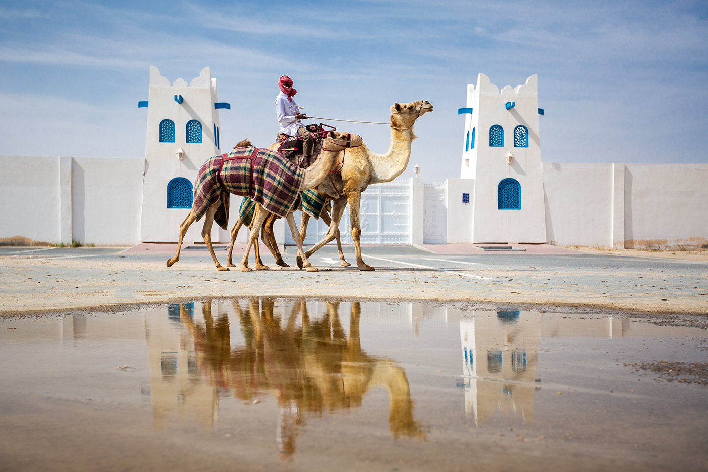 Qatar camel race Al Shahaniya camels sports desert arabia