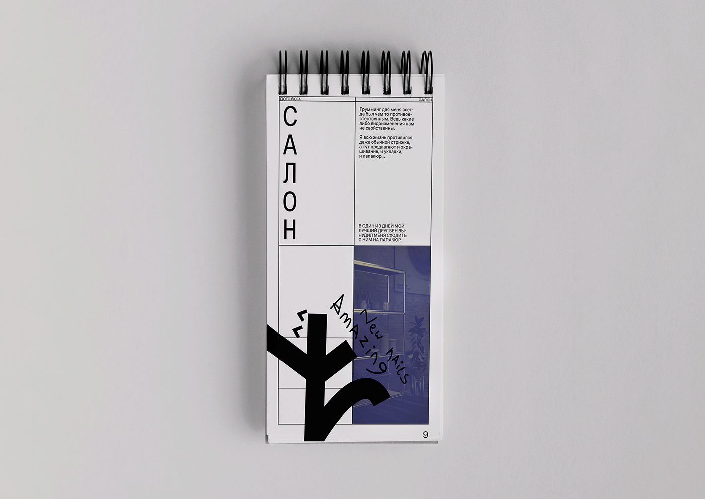 brand identity brochure flyer typography  