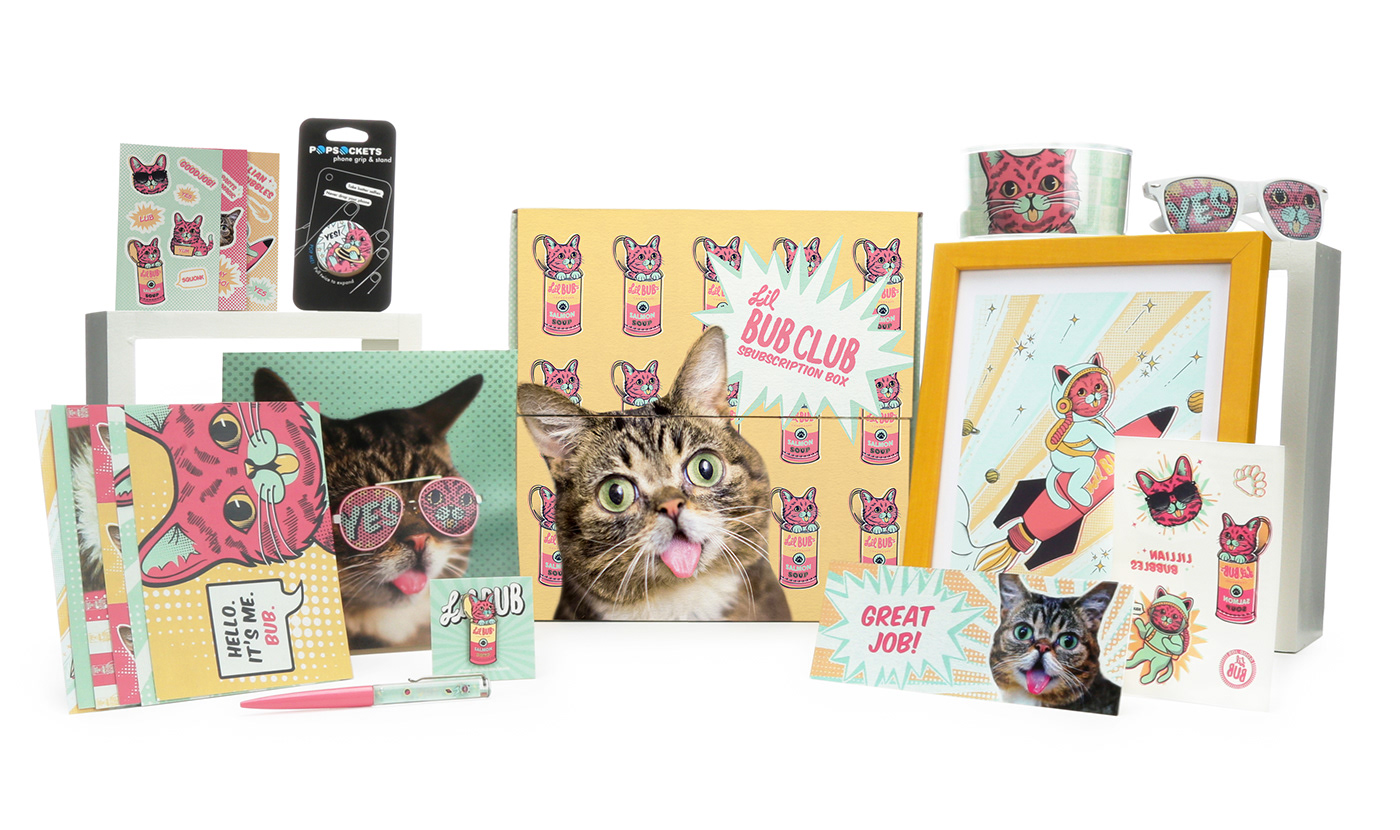 Lil Bub Pop Art subscription box subscription ILLUSTRATION  packaging design product design  Cat popsocket screen print