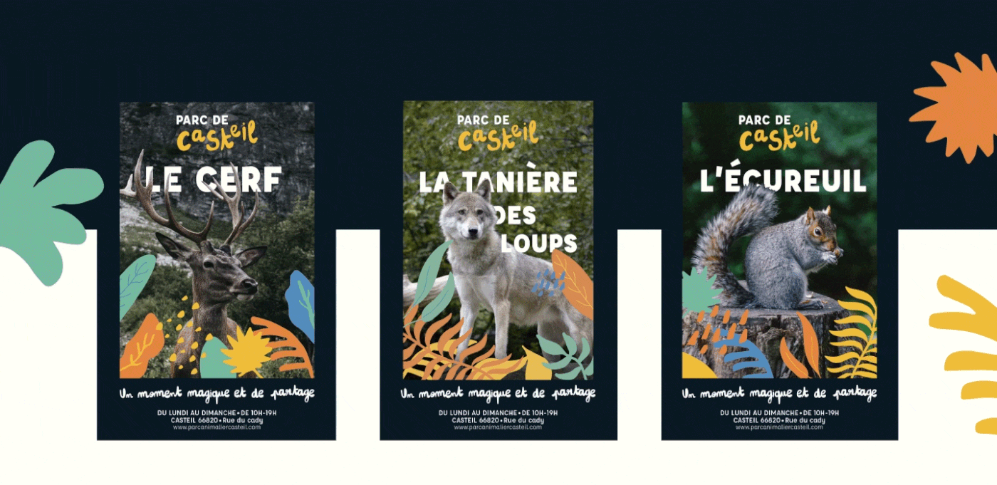animals branding  ILLUSTRATION  print rebranding visual identity Website zoo