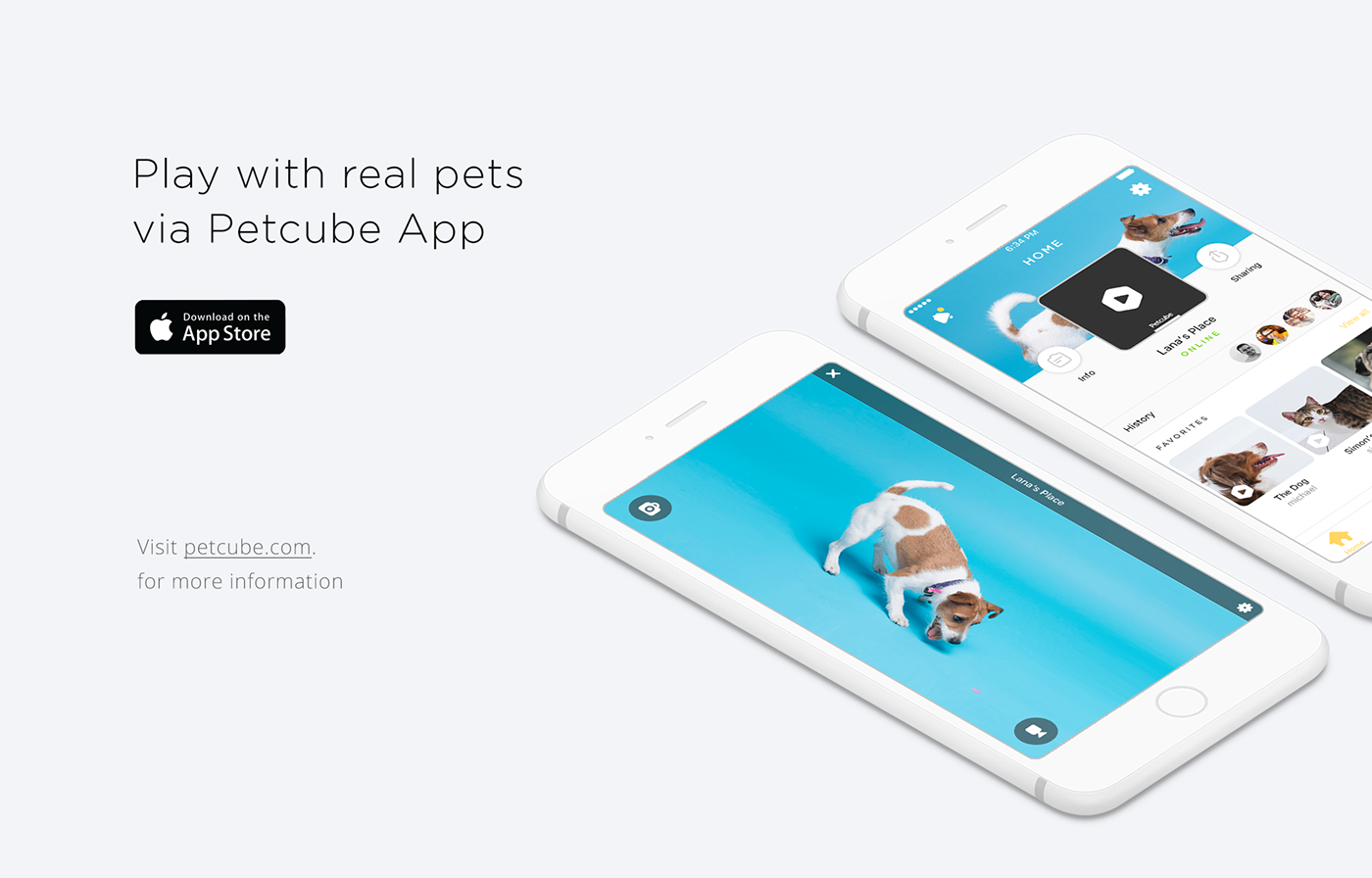 app ios game Pet Cat dog petcube laser camera hardware cute