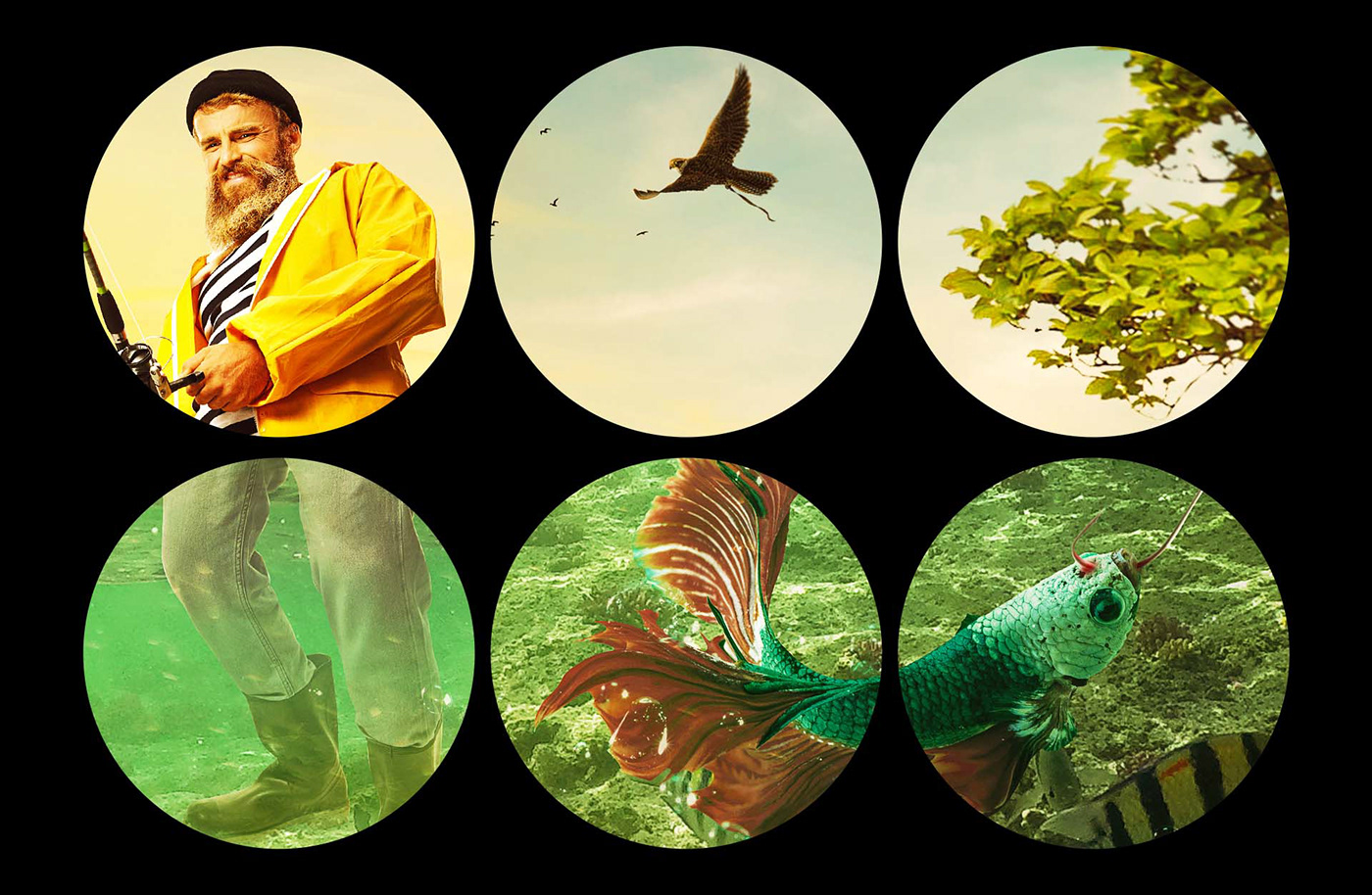 Character design  Digital Art  digital painting Fisherman fishing manipulation photomanipulation sea Stubborn Fish water