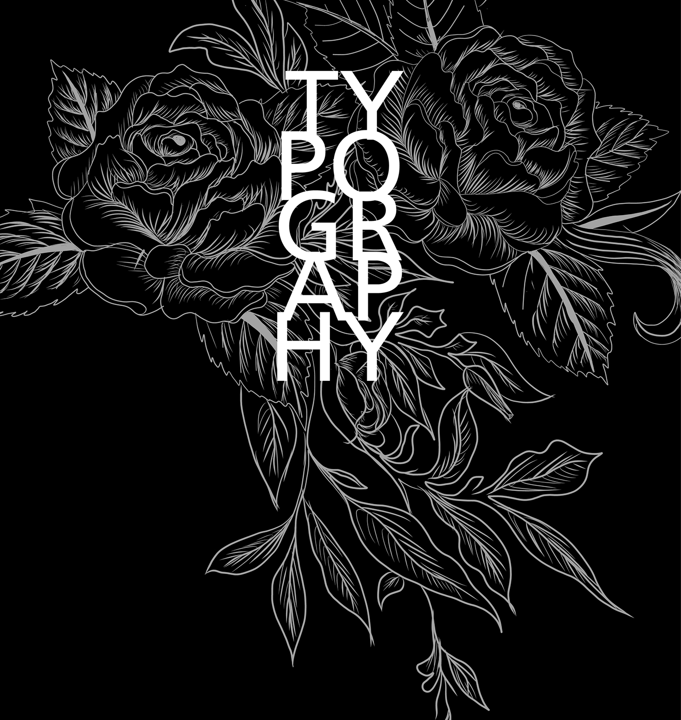 Typography - Artwork on Behance