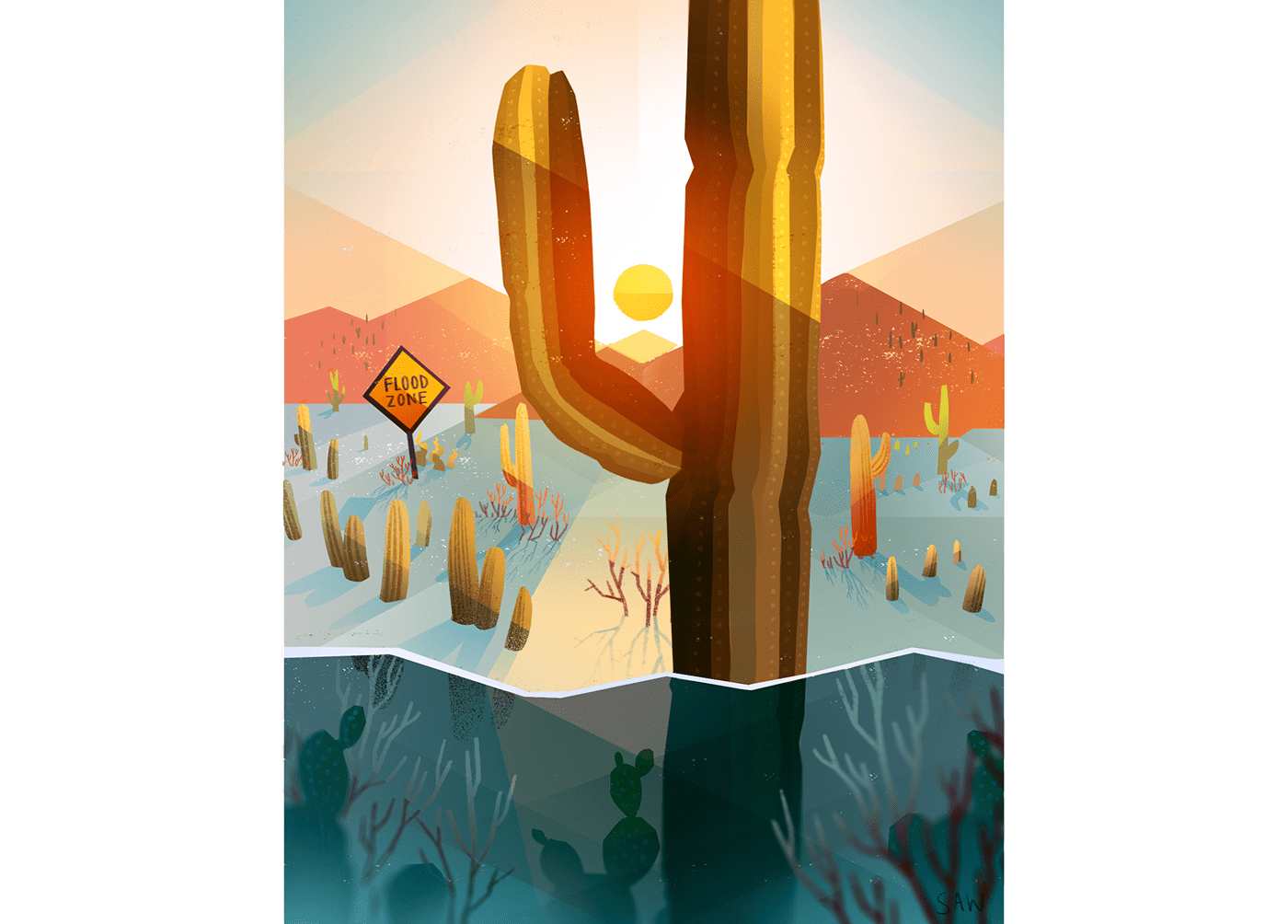 arizona desert saguaro cactus mountains flooding southwest