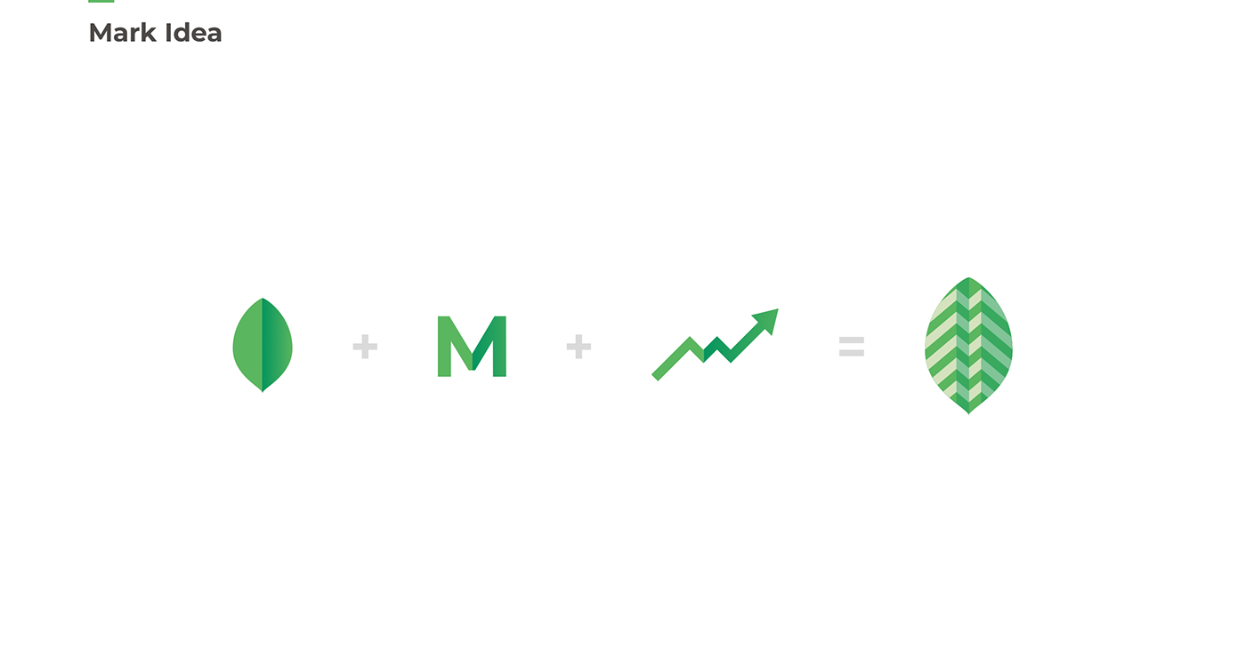 branding  identity logo leaf mint typography   UI/UX app finance accountant