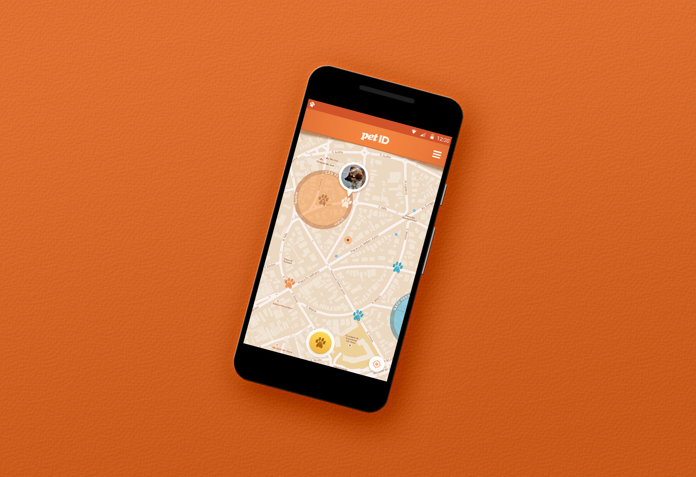 Pet app design orange mobile