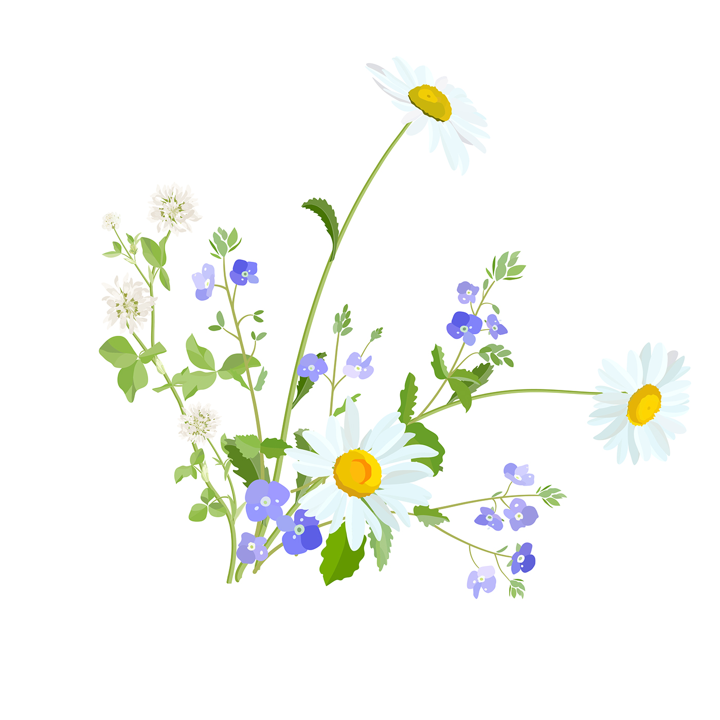 Blue wild flowers. Vector graphics on Behance