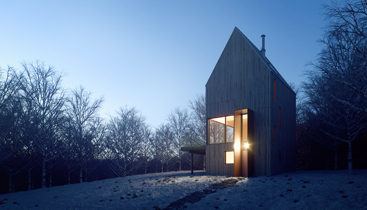 rabbit snare Omar Gandhi Architect bluehour house winter daylight