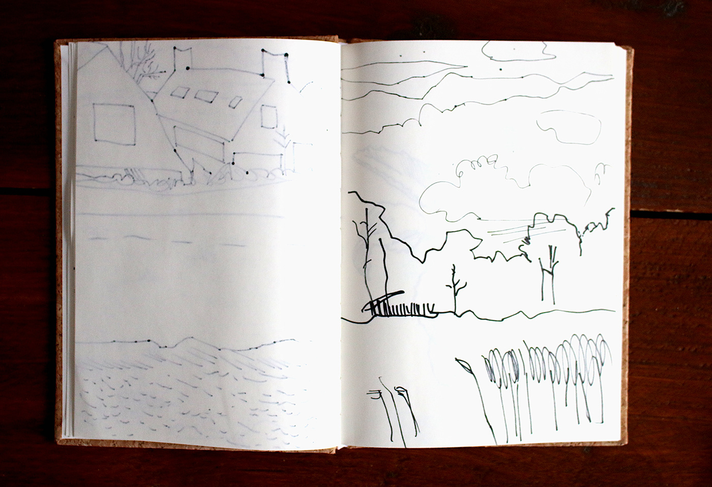 blackandwhite Drawing  dutch ILLUSTRATION  Landscape Nature notebook simple The Netherlands walk