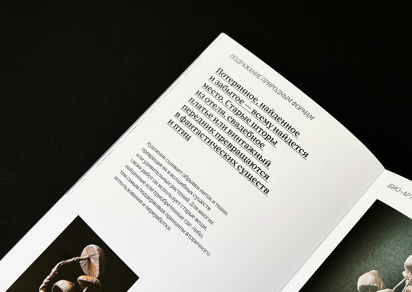 BIO ART bioart book book design typography   VISUAL STUDY верстка книги Дизайн книги книга