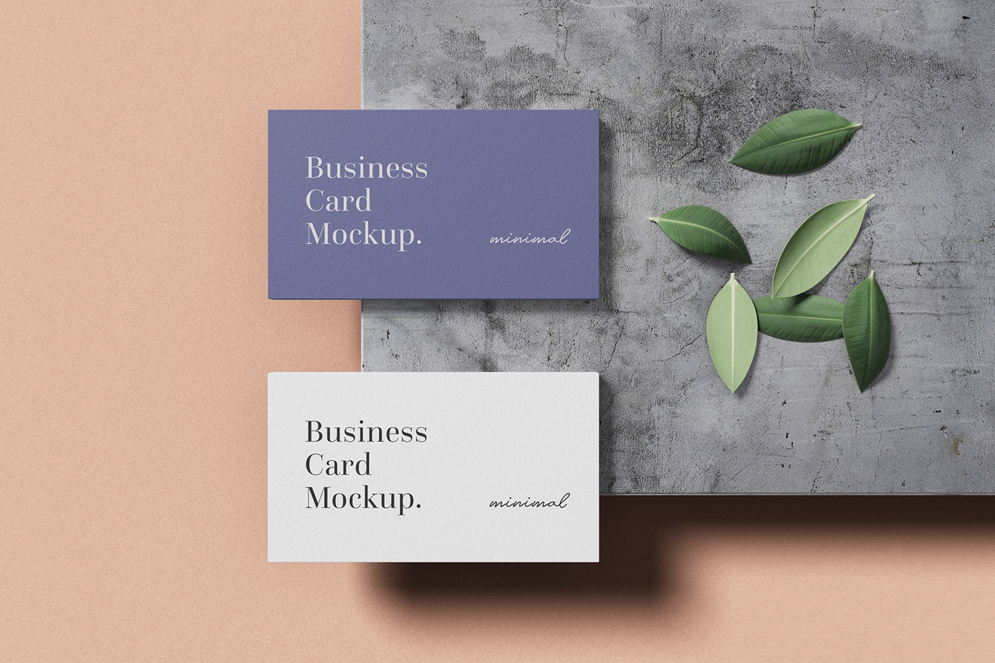 business card mockup business card Mockup branding  brand identity Stationery Identity Mockup free psd card mockup