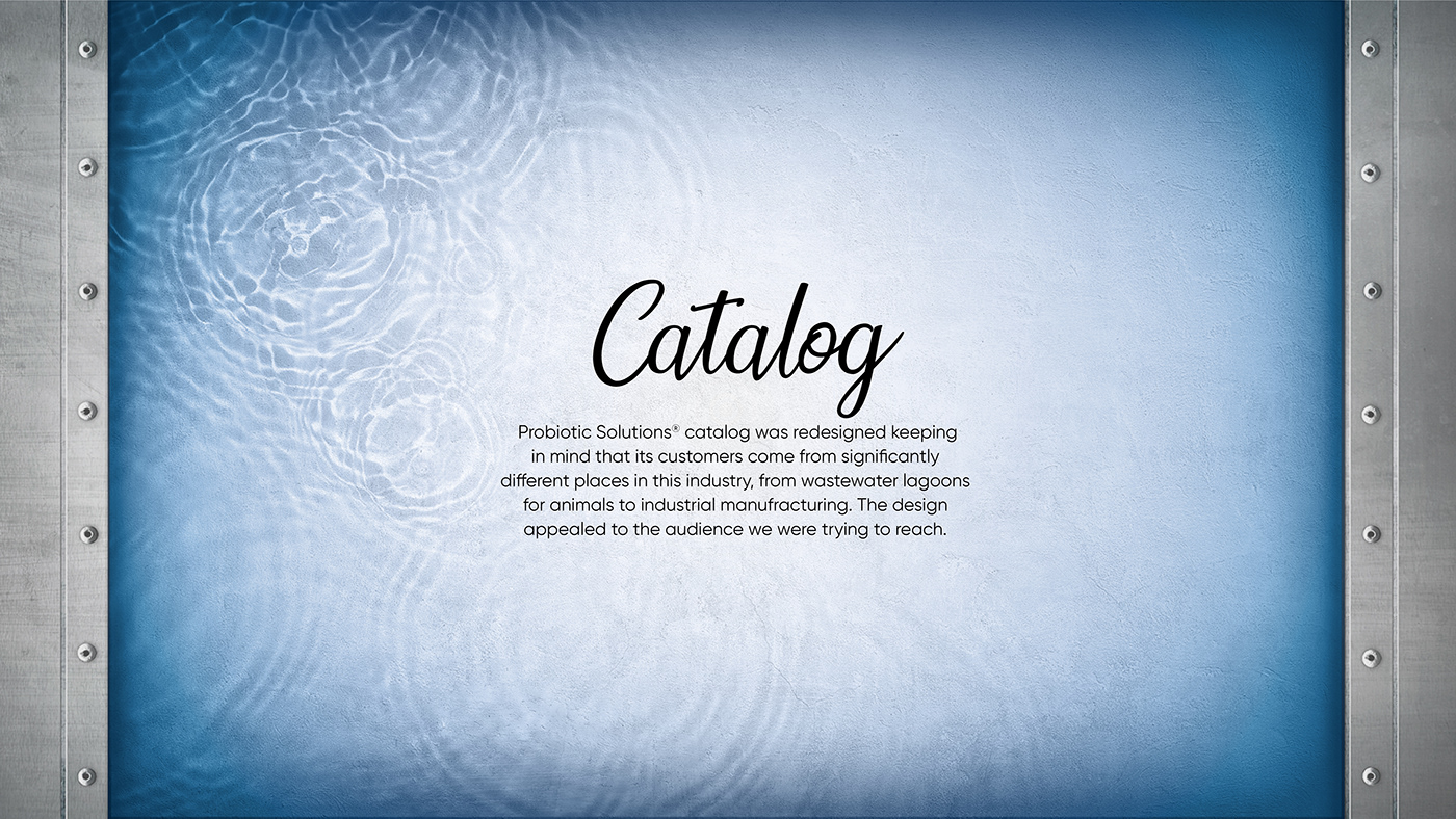 brand identity catalog graphic design  InDesign Layout marketing   Packaging photoshop viedo editing