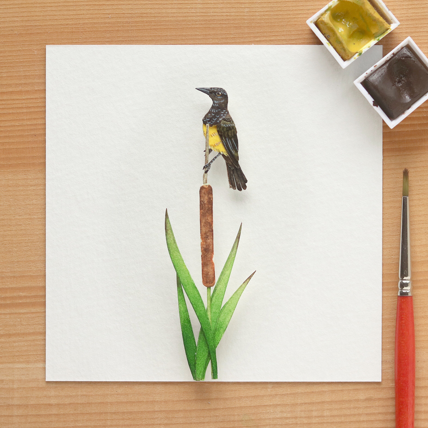 animals Behance birdartist birds Editorial Illustration ILLUSTRATION  Miniature papercut watercolour wildlife