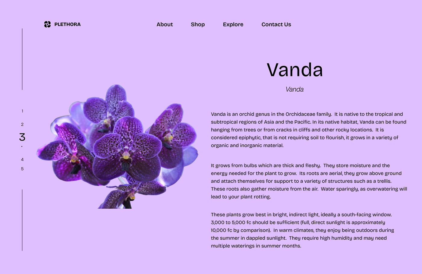 orchid product design  uxui user interface landing page Website Design Webdesign ux