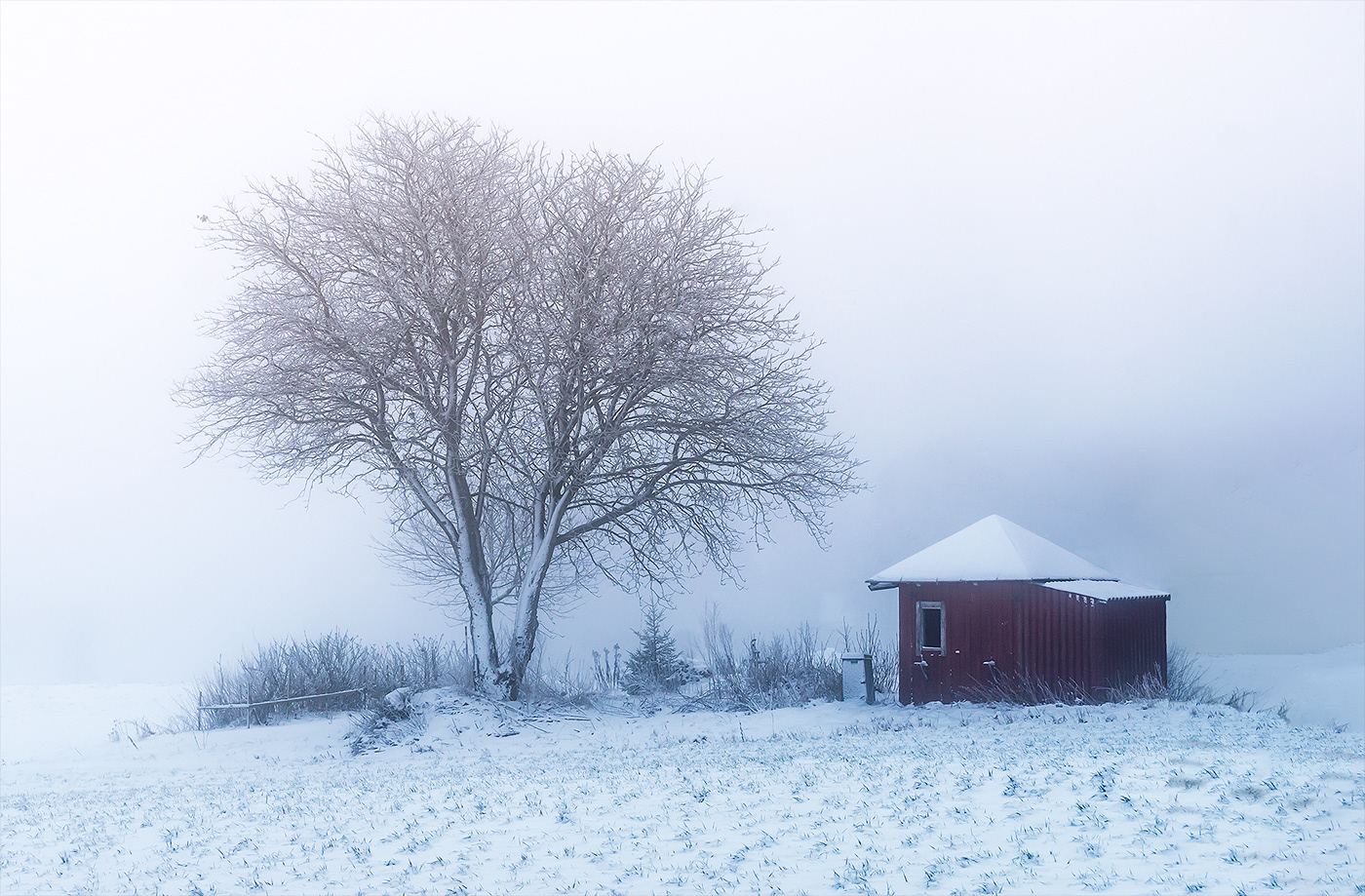 cold fog frost Landscape Photography  silent snow winter