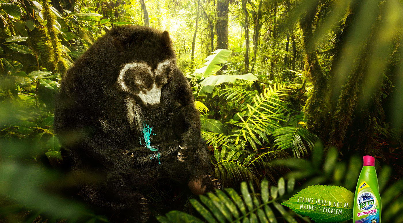 naturaleza Nature oso bear Mancha stain guacamaya parrot danta eco stain remover bosque forest tierra earth